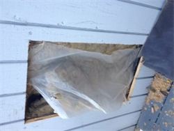 Cut wall out for pet door